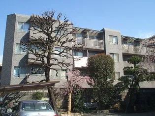 マノワール四谷の画像