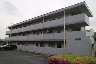 ハイルネッサンスAの画像