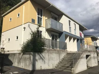 はなみずきの画像