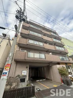 マイハイツセリガンの画像