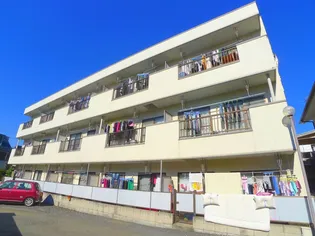 メゾンアキバの画像