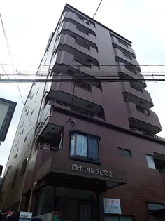 ロイヤル丸文Ⅱの画像