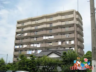 パルデンス エコノⅤの画像