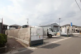 ステラの画像