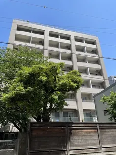 KTグレインマンション【6階】の外観