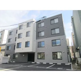 サクラN27の画像
