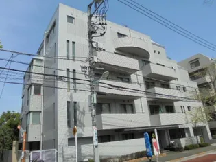 シャネックスの画像