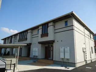 ヴァン コリーヌの画像