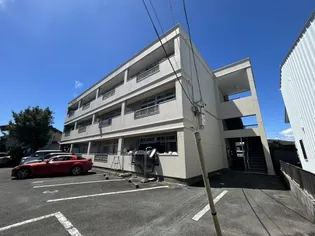 バームハイツ【2階】の外観