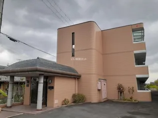 トップペアー福甚NO 2の画像