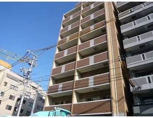 クレスト小町の画像