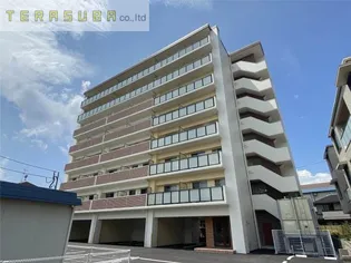 シェル新川の画像