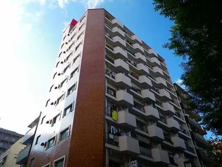 パラスト王子【8階】の外観