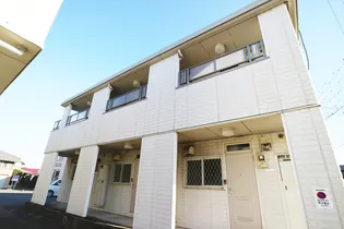 クレマチスCの画像