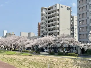 プレスト水戸中央の画像