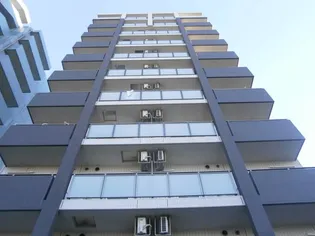 THE パームス東武練馬【8階】の外観