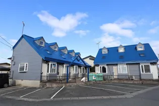 ペーパームーンの画像