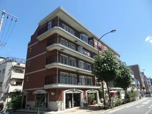 ロイヤルドレイクの画像