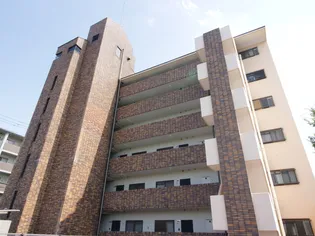 エルフィン井上の画像