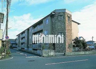 ステラ21の画像