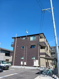 コンテIII 祇園の画像