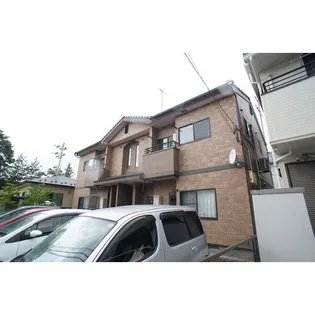 コートピアスの画像