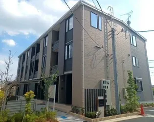 パーシモンNの画像