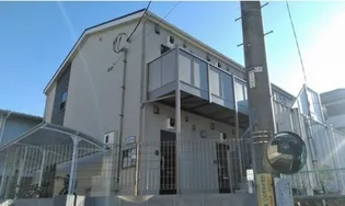 アムール白楽の画像