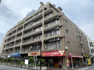 西蒲田スカイハイツ【2階】の外観