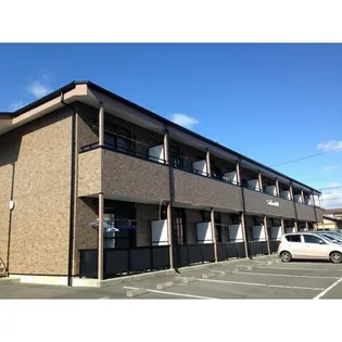 SUN FLOWER 正木Vの画像