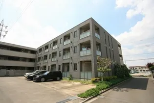 グレースランドの画像