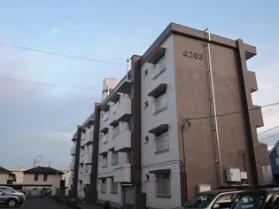 緑ヶ丘第7 4303号棟の画像