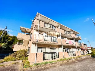 EIKOH2の画像