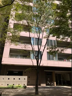 セントラルパーク イーストE棟の画像