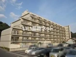 ネオハイツ松江【7階】の外観