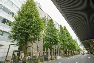 URコラム南青山【9階】の外観