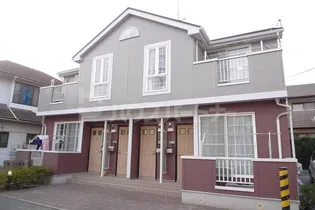 サニーキュートの画像