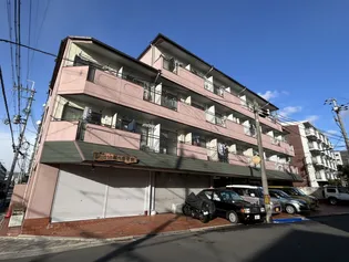 センチュリーハイツコスモ【3階】の外観