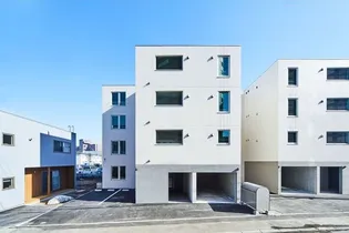 LEVANTE Ⅸの画像