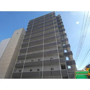 PALMSの画像