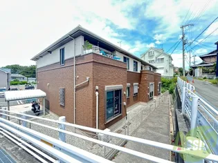 キンモクセイの画像