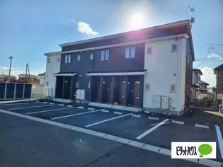 ラビータの画像