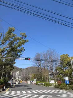 ビアベルデ津島【2階】の周辺