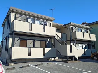 アレント サワBの画像