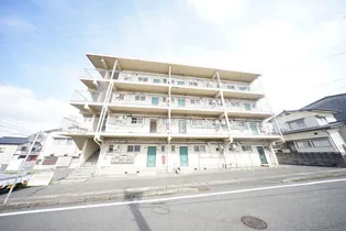サンコア川中の画像