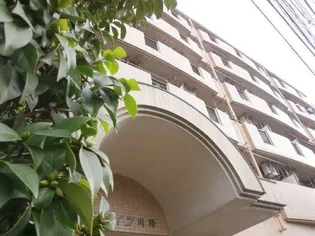 広島県広島市西区楠木町3【マンション】の外観