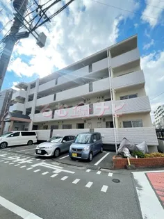 プロスパ77の画像