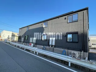 バイオレットの画像