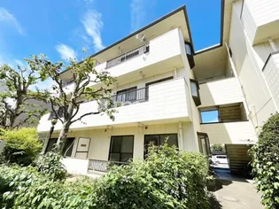 サンブライトの画像