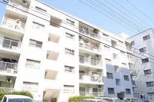 コーポ近江屋2【4階】の外観